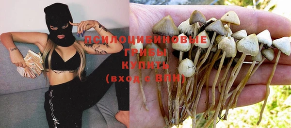 ECSTASY Ладушкин