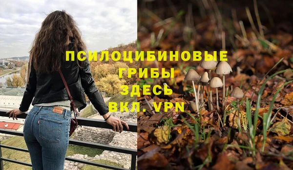a pvp Алексеевка